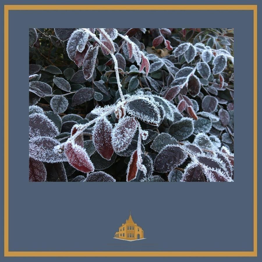 Little Redlands B&B Λίνκολν Εξωτερικό φωτογραφία