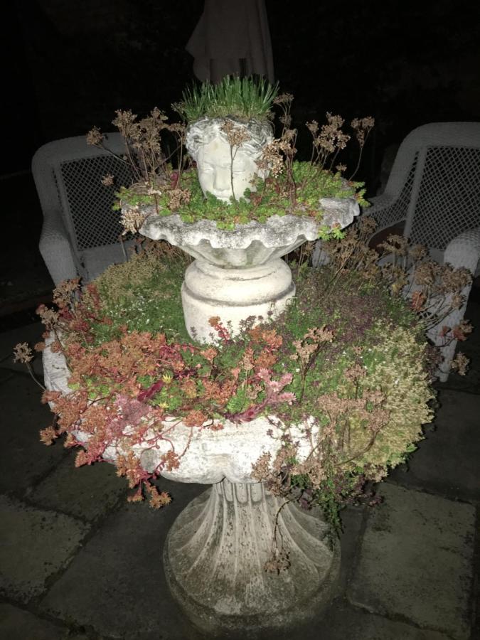 Little Redlands B&B Λίνκολν Εξωτερικό φωτογραφία